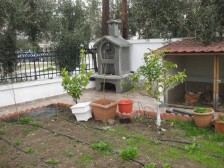 Εικνα 3